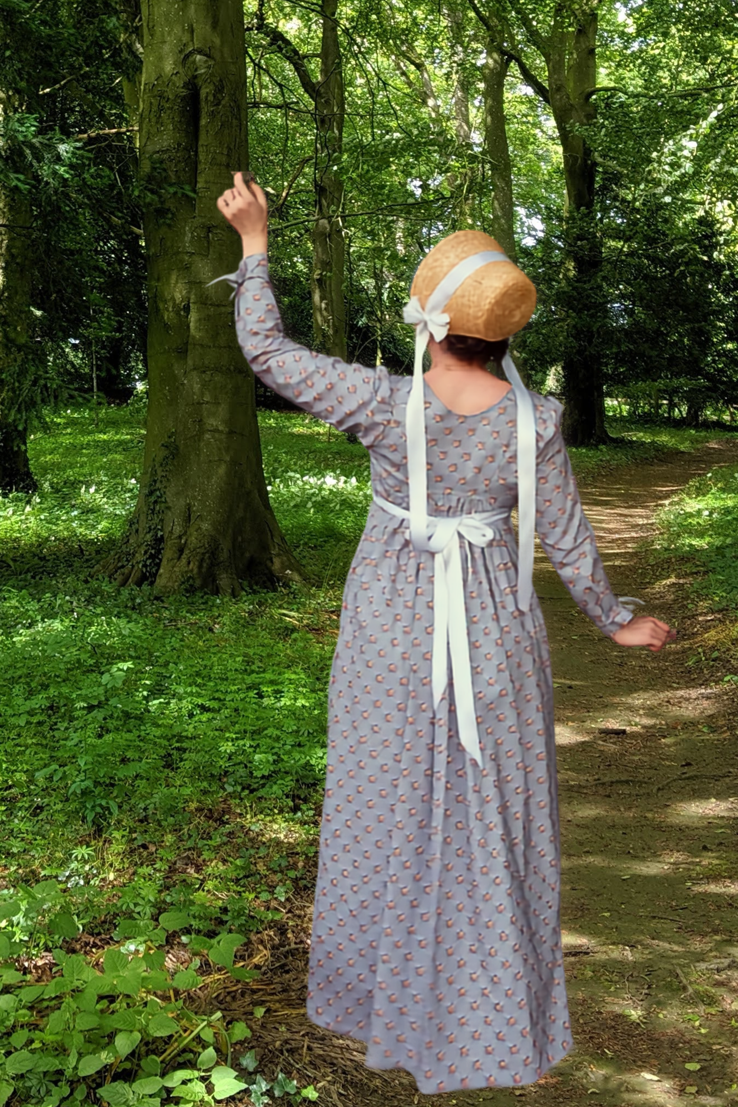 Regency Charlotte Print Cotton Gown