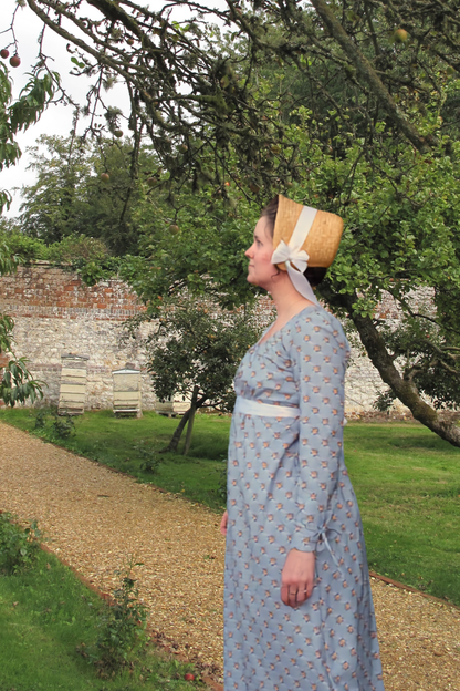 Regency Charlotte Print Cotton Gown