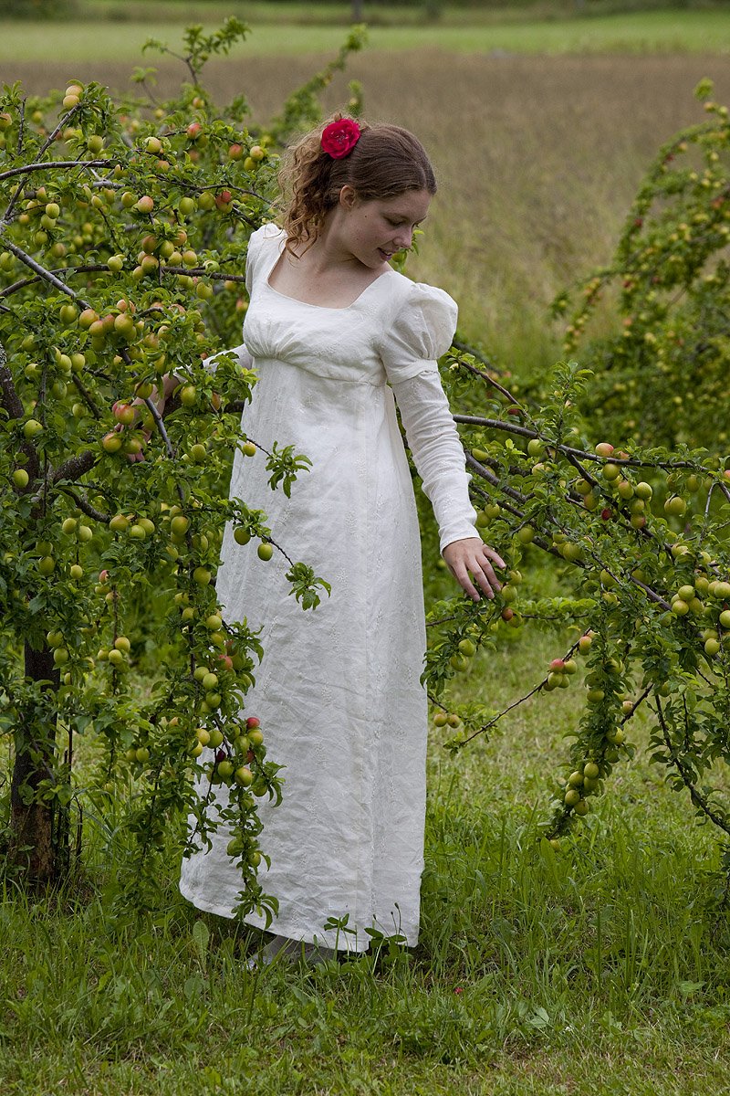 Regency Gown Pattern